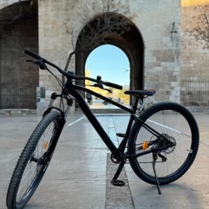 Mountain bike